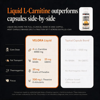 Liquid L-Carnitine 4000MG